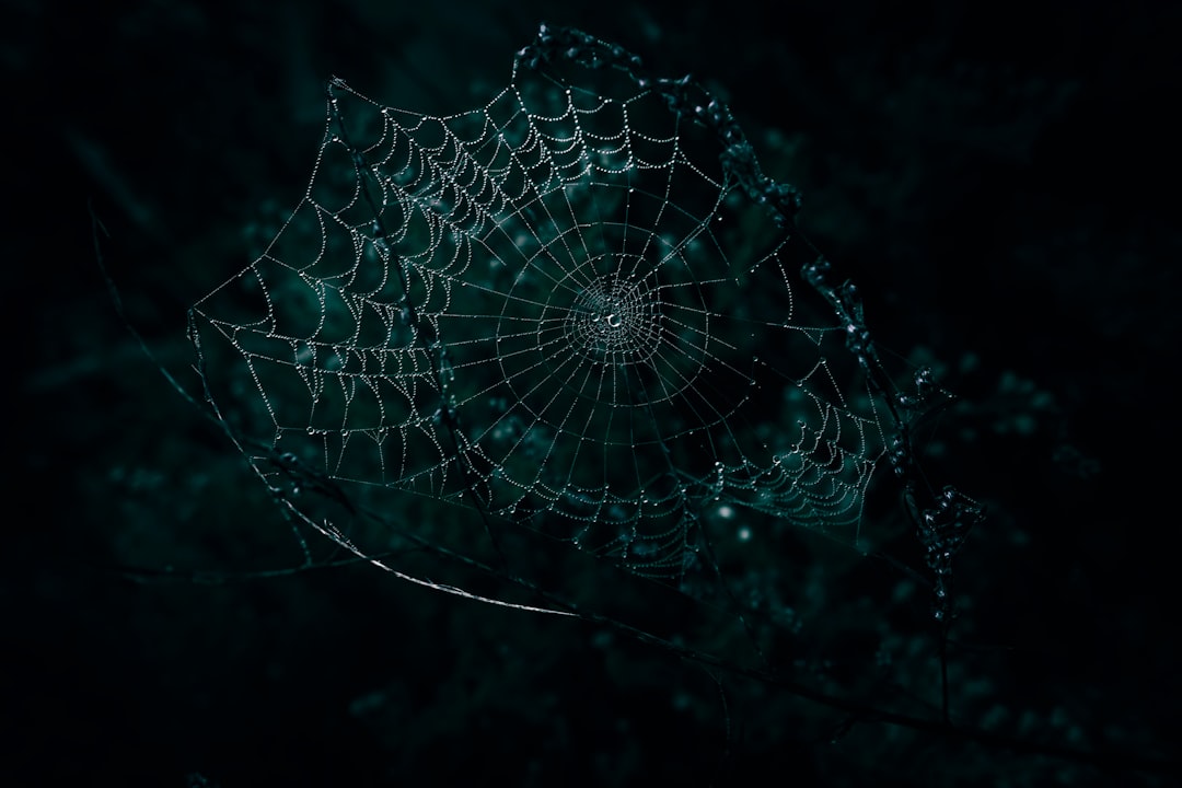 ما هو الـ Dark Web وكيف يؤثر على أمن الشركات؟