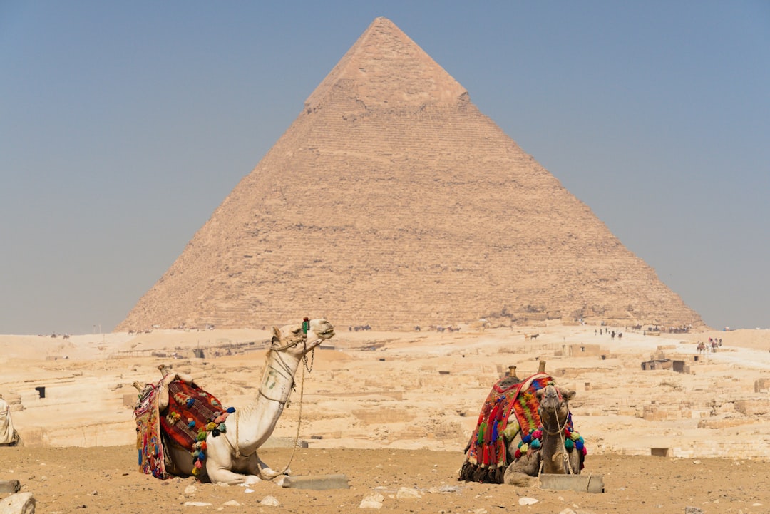 مستقبل Ransomware protection في مصر وكيف تقود Hexogen هذا التطور