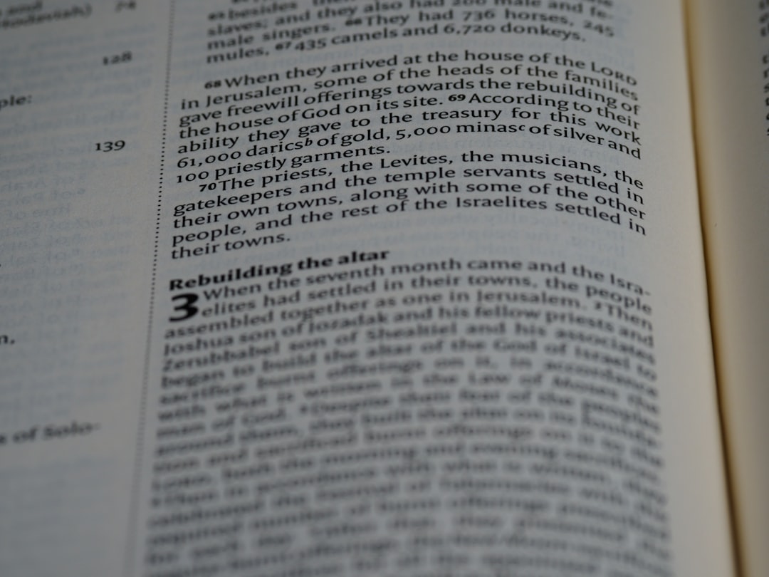 كيف تختار أفضل ادارة صفحات سوشيال ميديا لعملك؟ نصيحة من خبراء Hexogen